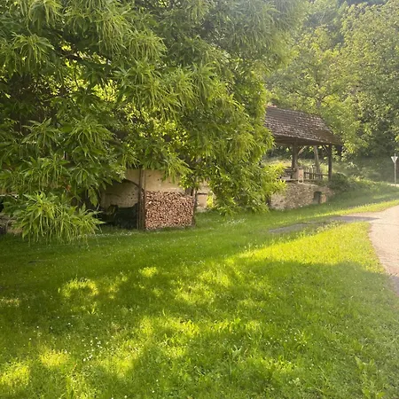 Terrassen Seeblick 4 Apartment Reifnitz